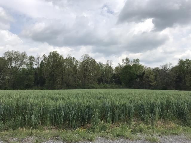 0 N Sumner Rd, Bethpage, TN 37022