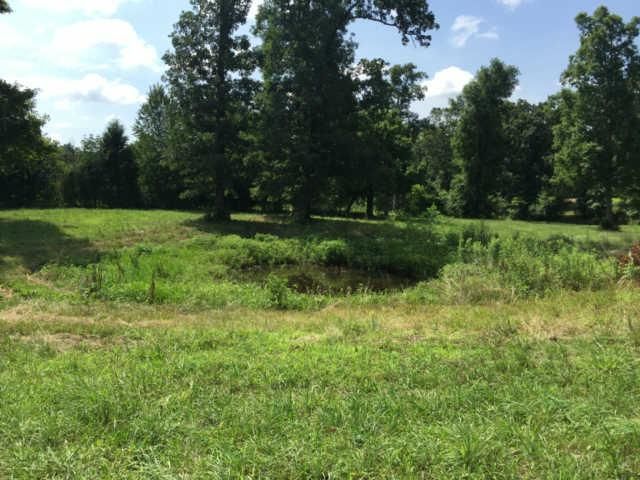 7329 Old Cox Pike, Fairview, TN 37062