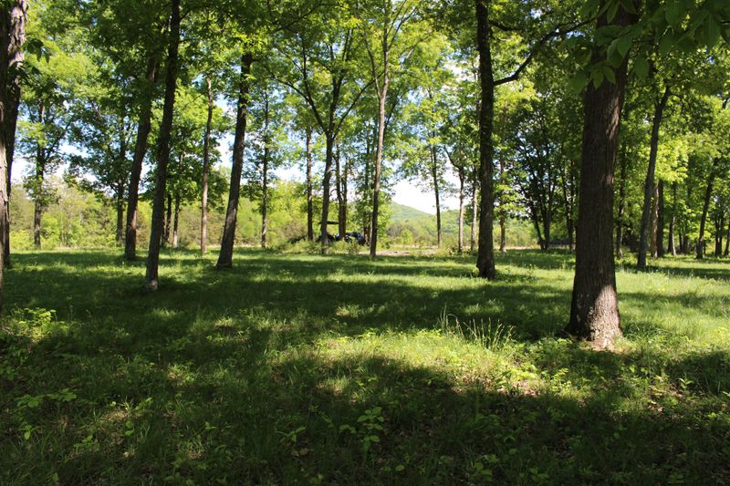 1 Mankin Mcknight, Murfreesboro, TN 37127