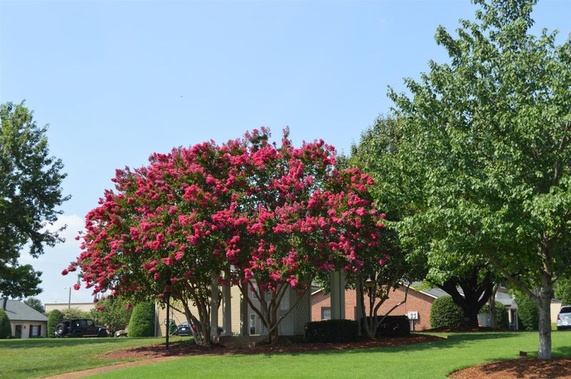 120 Academy Sq, Nashville, TN 37210