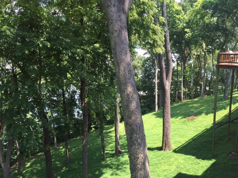 231 Green Harbor #116 #116, Old Hickory, TN 37138