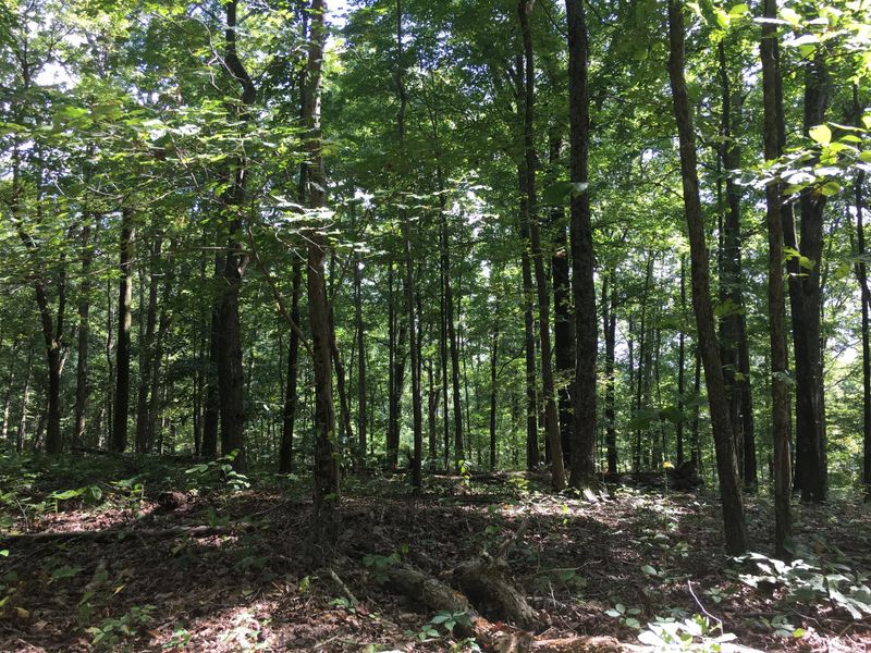 1158 Dora Whitley Rd, Franklin, TN 37064