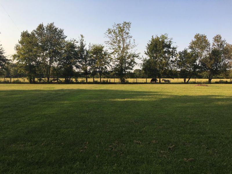 1470 Harrison Rd, Murfreesboro, TN 37128