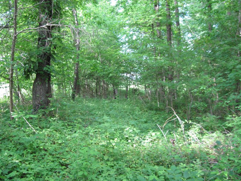 0 E Piney, Dickson, TN 37055