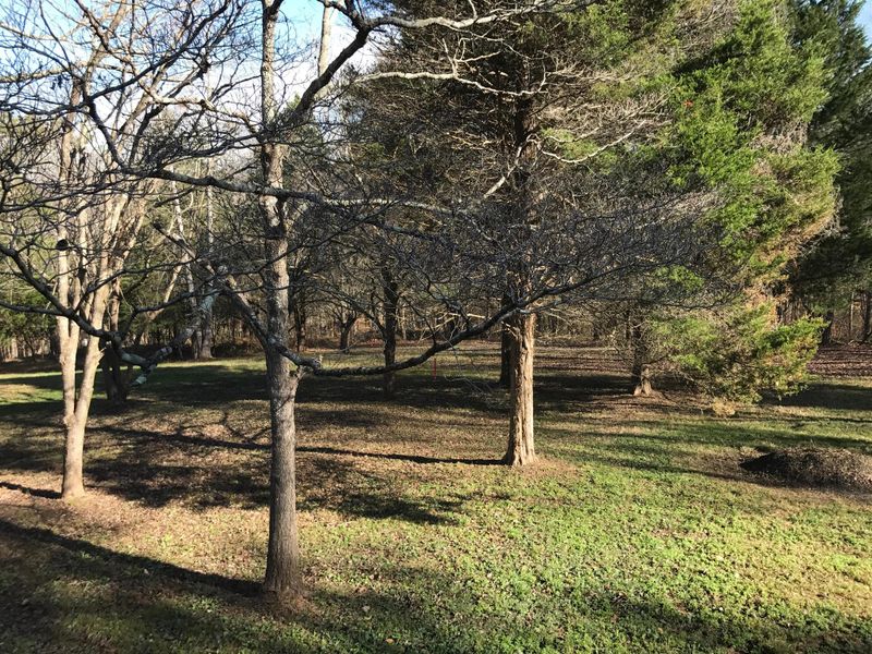 511 Cedar Crest Dr, Chapmansboro, TN 37035