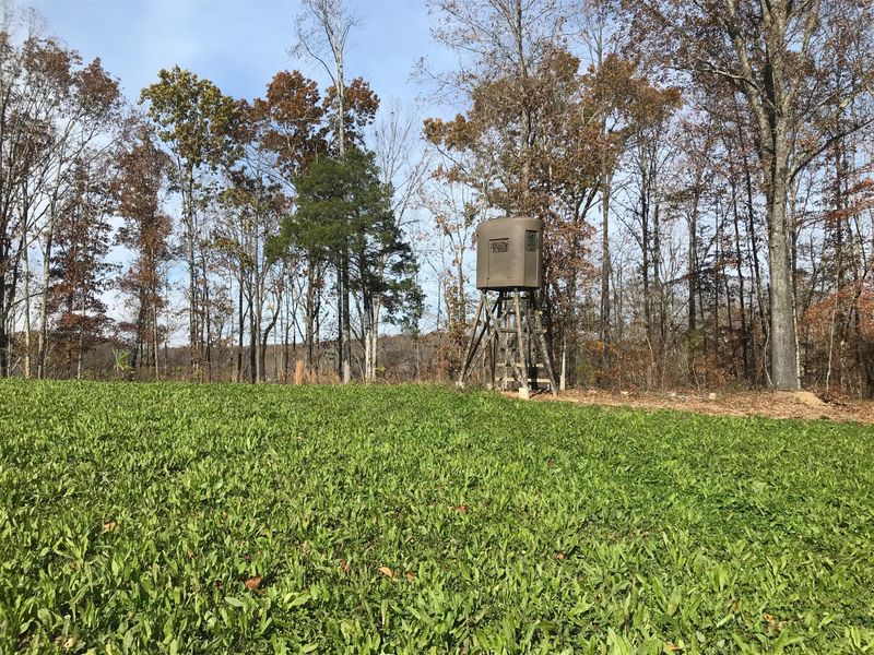 4994 Scott Branch Rd, Hampshire, TN 38461