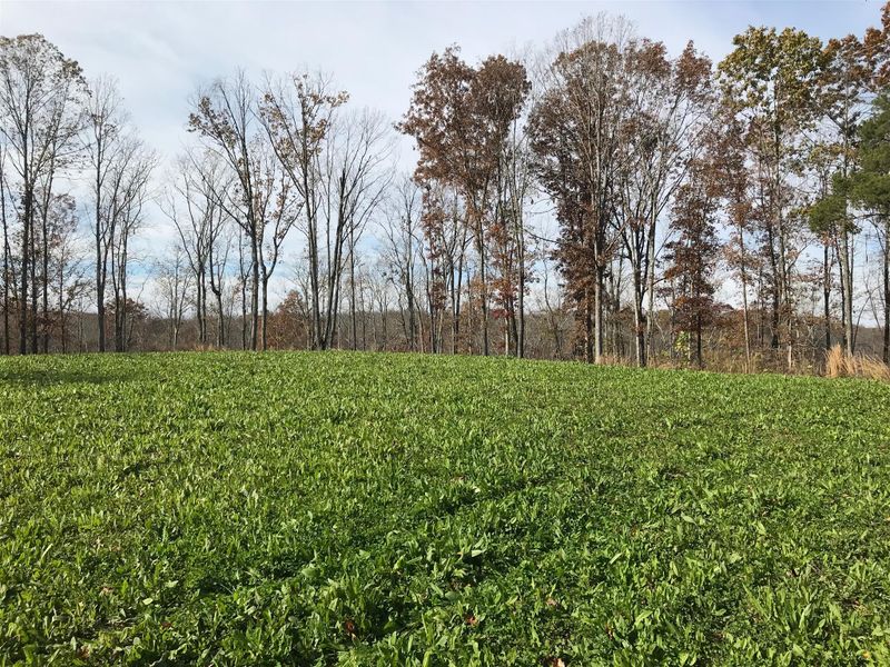 4994 Scott Branch Rd, Hampshire, TN 38461