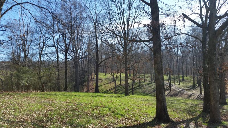 1 Barnhill Rd Lot #1, Primm Springs, TN 38476