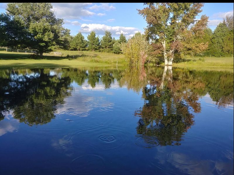 316 White Rd, Portland, TN 37148