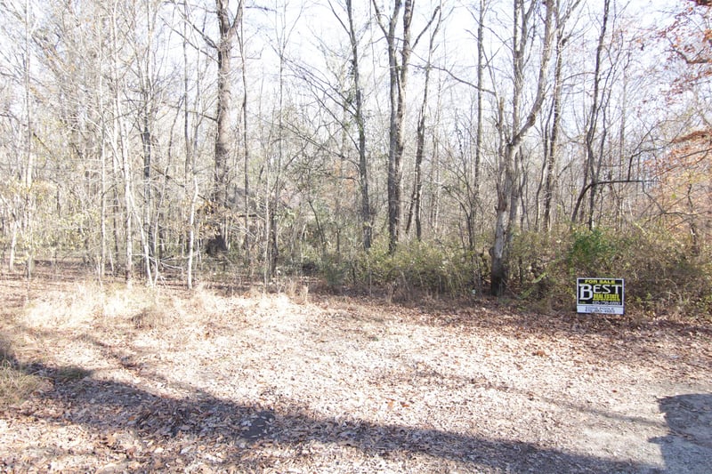 0 Goodman Ln, Cedar Hill, TN 37032
