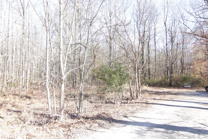 0 Goodman Ln, Cedar Hill, TN 37032