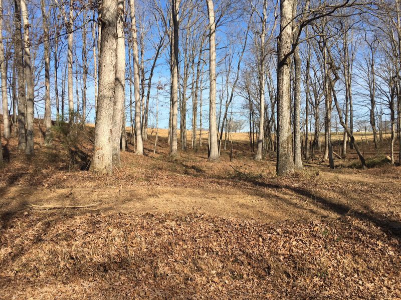 0 Rocky Dr Tract 7, Dickson, TN 37055