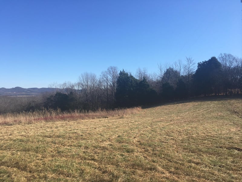 5 Saulsbury West Rd, Lebanon, TN 37090