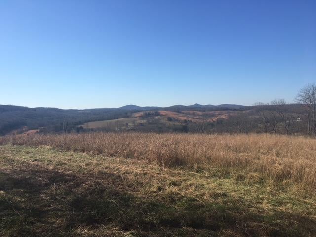5 Saulsbury West Rd, Lebanon, TN 37090