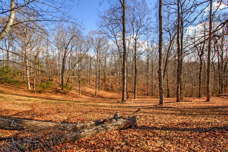 1100 Holcomb Rd, Kingston Springs, TN 37082