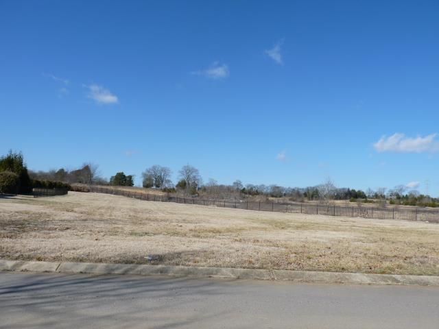 307 Stonebrook Pt, Lebanon, TN 37087