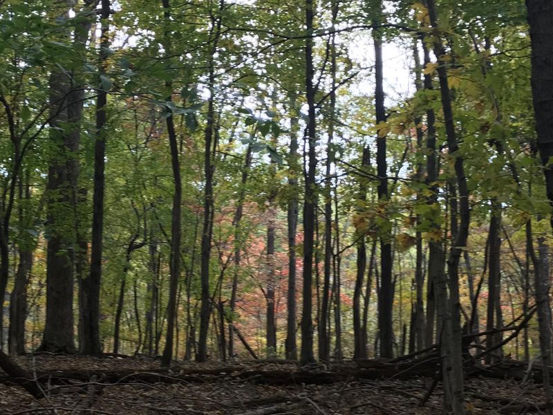 1 Pinewood Rd, Franklin, TN 37064
