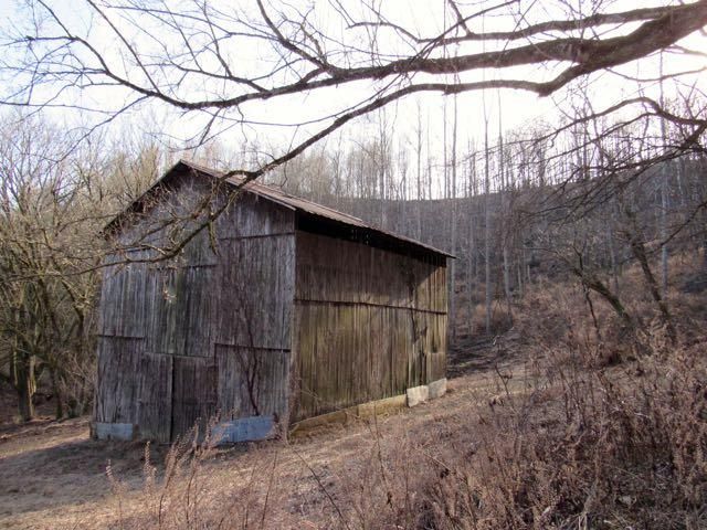 100 Dillehay Hollow Rd, Pleasant Shade, TN 37145