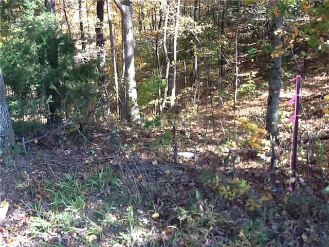 0 Center Point Rd, Cumberland Furnace, TN 37051