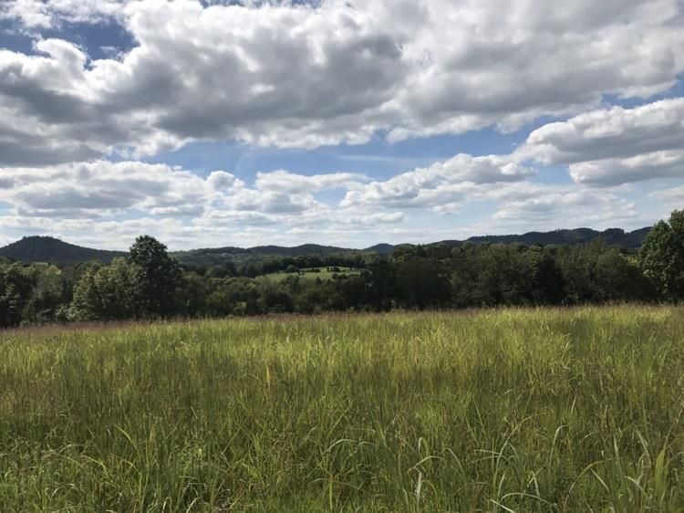 2 Coon Branch Rd, Mount Juliet, TN 37122