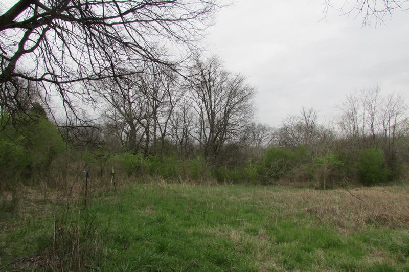 0 Golf Club Rd, Mount Pleasant, TN 38474