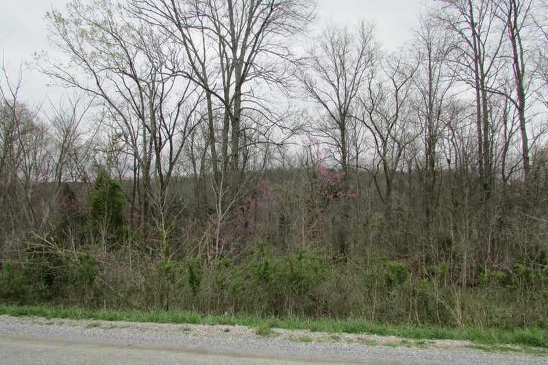 0 Golf Club Rd, Mount Pleasant, TN 38474