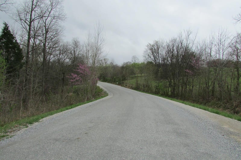0 Golf Club Rd, Mount Pleasant, TN 38474