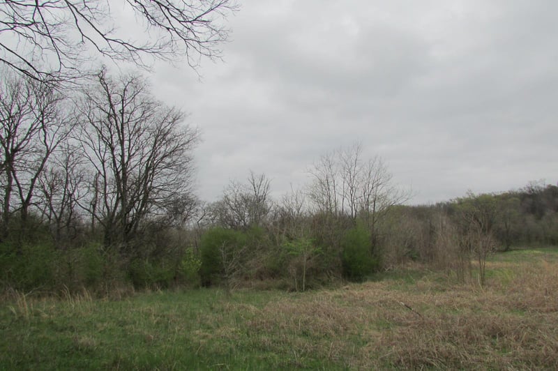0 Golf Club Rd, Mount Pleasant, TN 38474