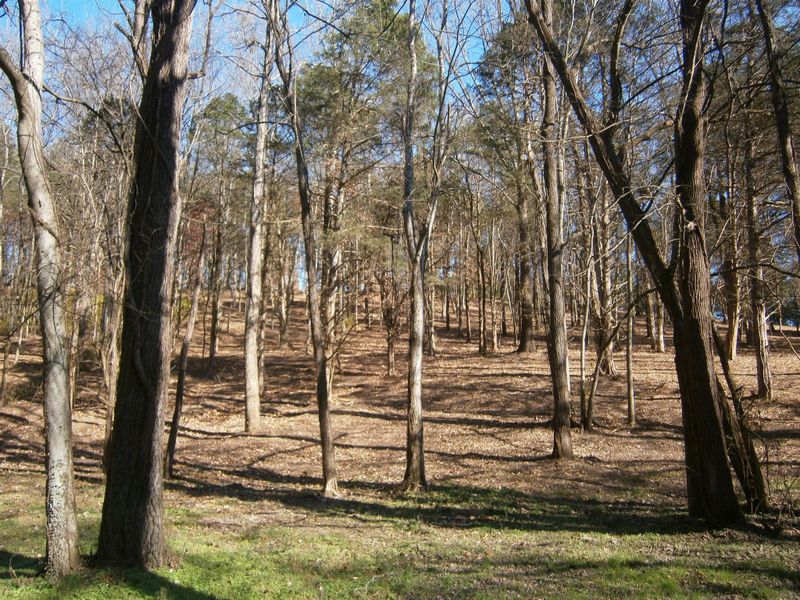 4 April Dr, Old Hickory, TN 37138