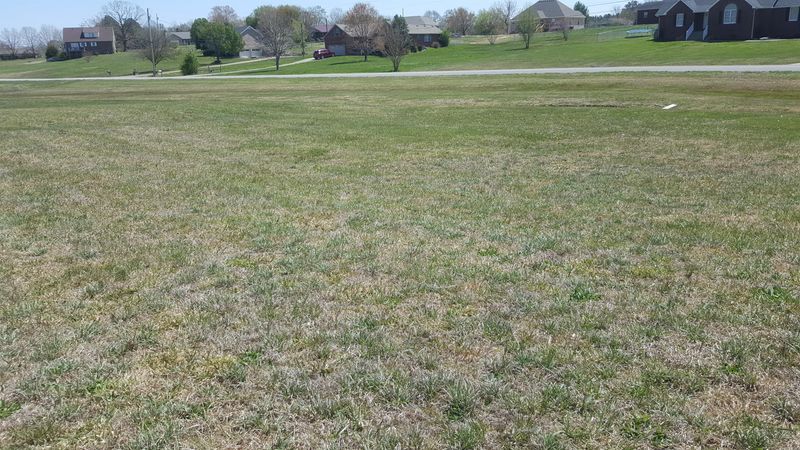 1112 Highlake Dr, Dickson, TN 37055