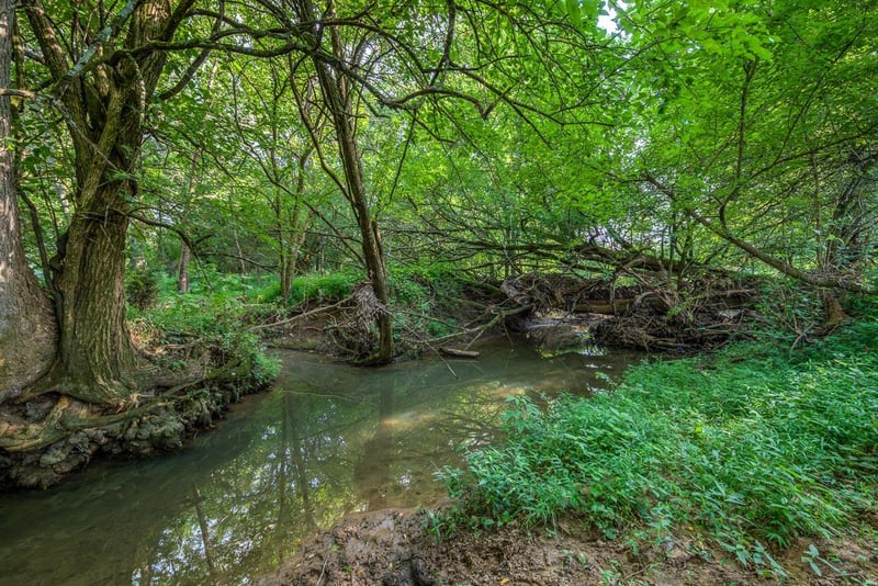 2097 Wilson Pike, Franklin, TN 37067