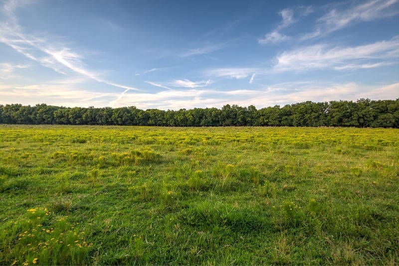 2097 Wilson Pike, Franklin, TN 37067