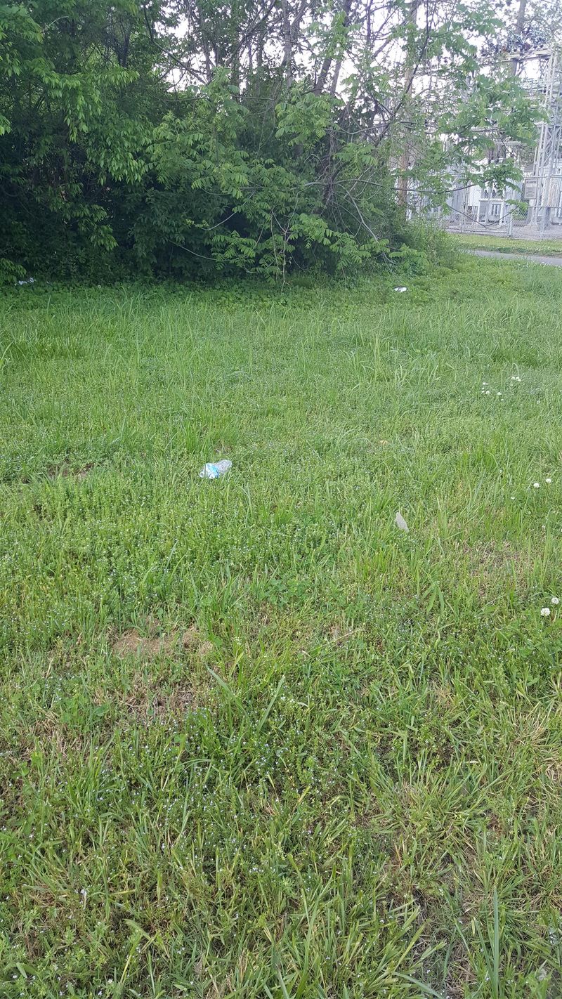 2000 14th Ave N, Nashville, TN 37208