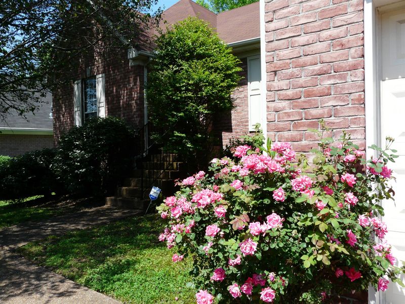 4413 Benchmark Dr, Antioch, TN 37013