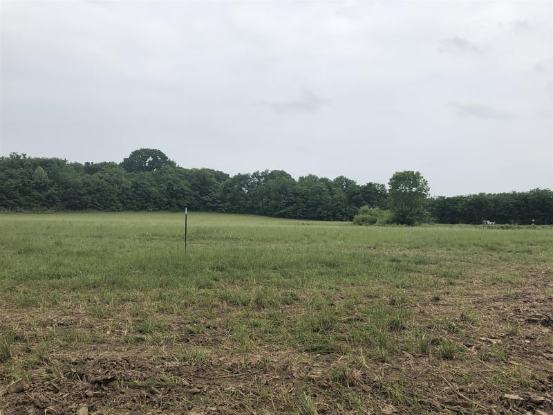 2 Horton Hwy, College Grove, TN 37046