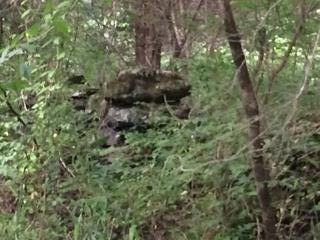 1004 Rock Springs Rd, Bethpage, TN 37022