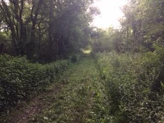1004 Rock Springs Rd, Bethpage, TN 37022