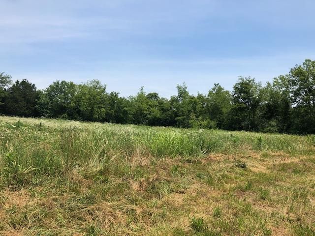 1505 Coleman Rd, Franklin, TN 37064