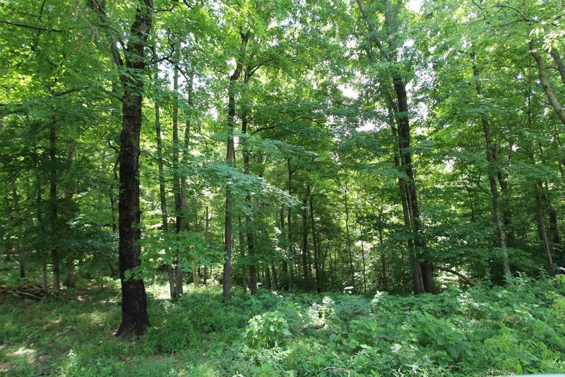 0 Raleigh Elam Rd, Santa Fe, TN 38482