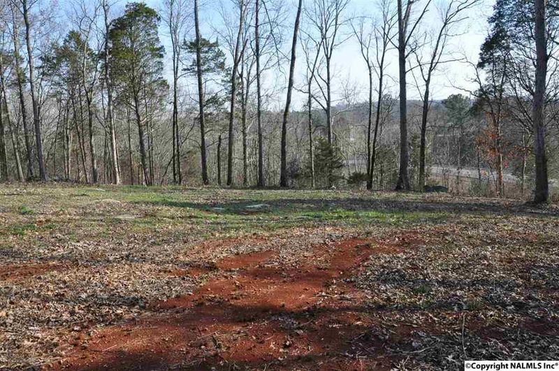 110 Deer Run Ln, Harvest, AL 35749