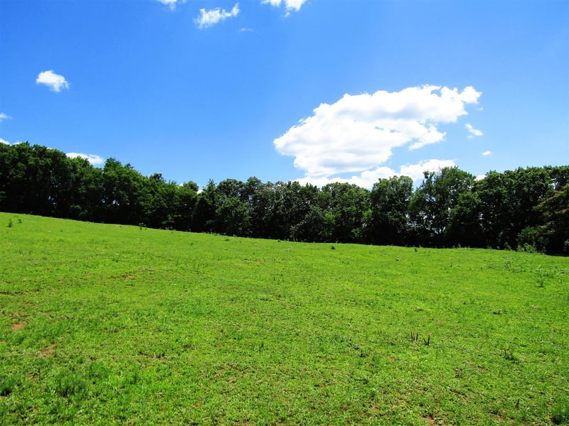 0 Old State Rd, Hampshire, TN 38461