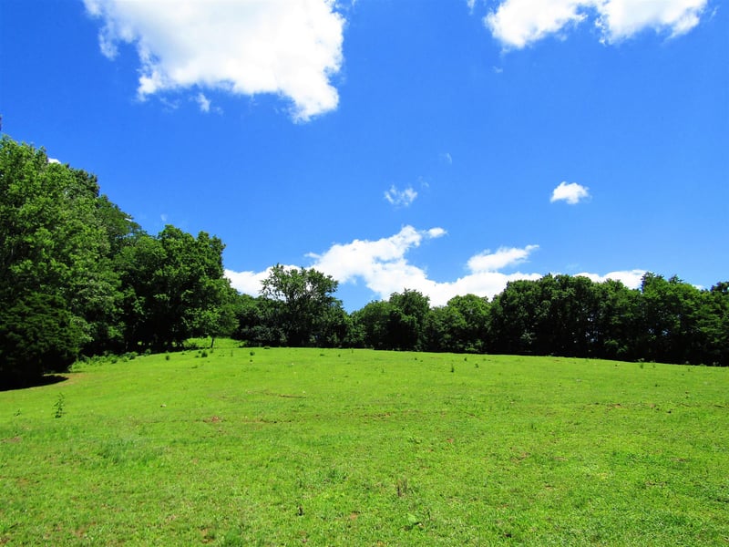 0 Old State Rd, Hampshire, TN 38461