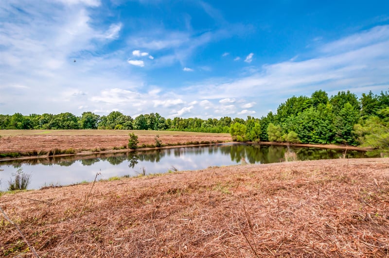 0 Slayden Marion Rd, Cumberland Furnace, TN 37051