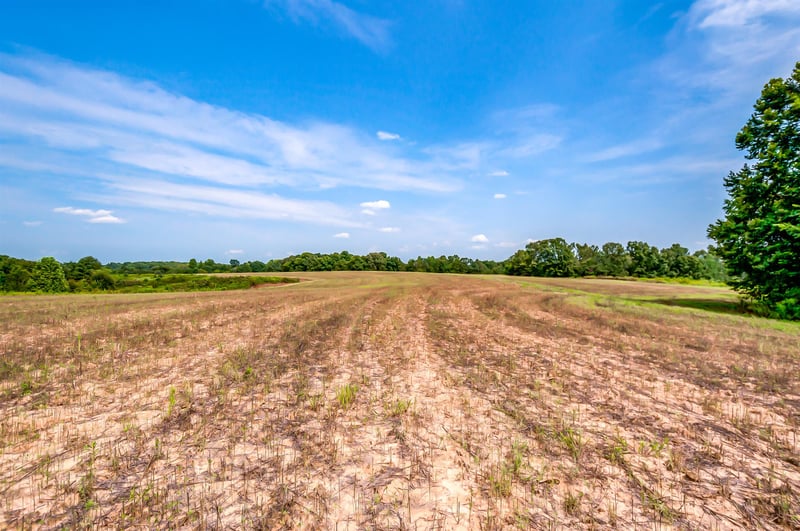 0 Slayden Marion Rd, Cumberland Furnace, TN 37051