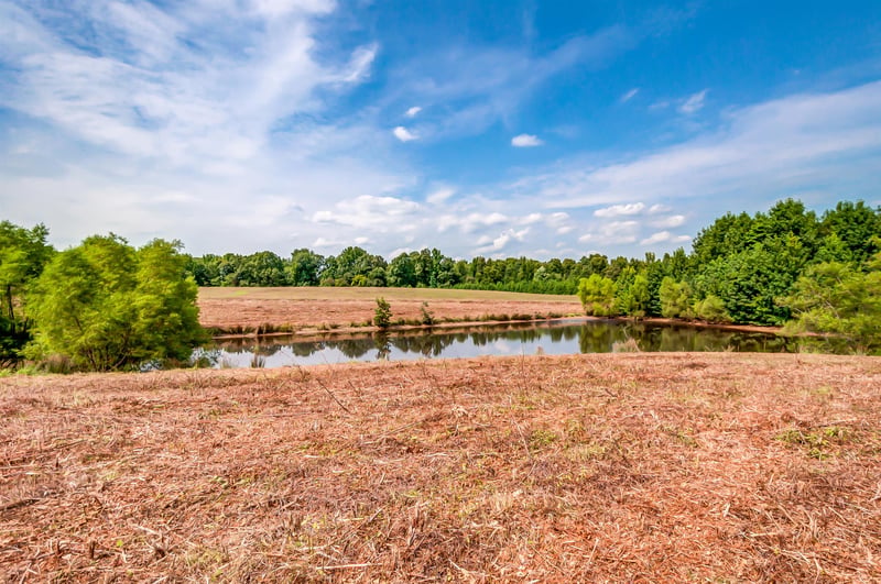 0 Slayden Marion Rd, Cumberland Furnace, TN 37051