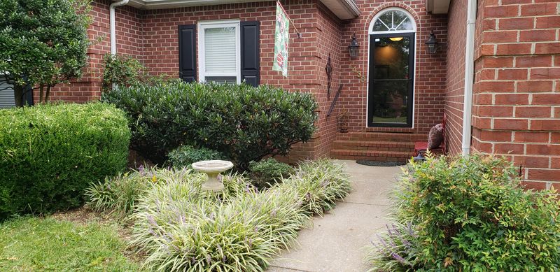 1438 Wall St, Murfreesboro, TN 37130
