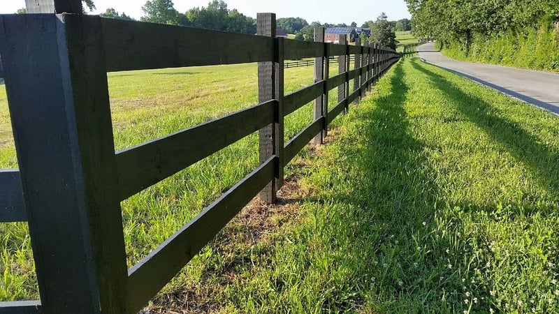 7686 Barnhill Rd, Primm Springs, TN 38476