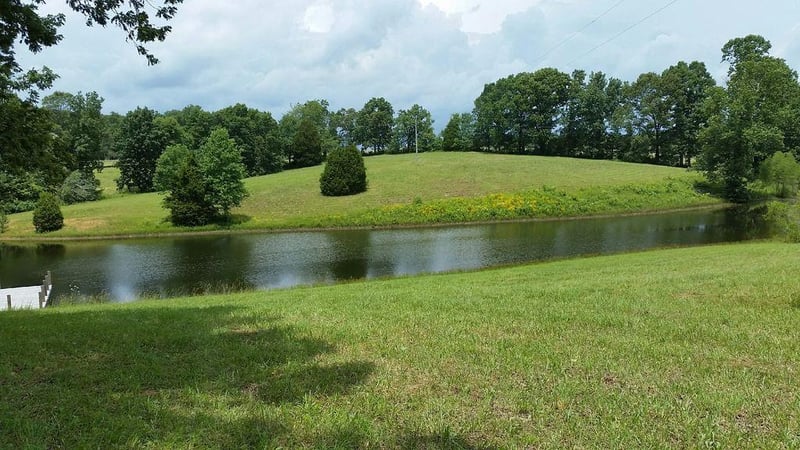 7686 Barnhill Rd, Primm Springs, TN 38476