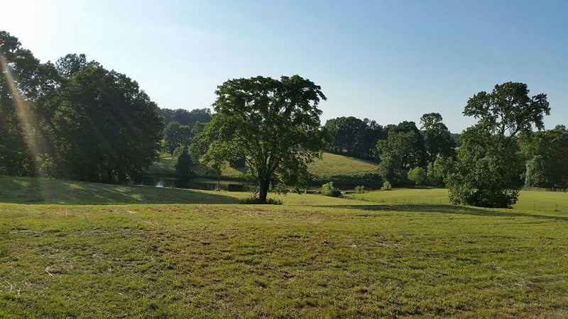 7686 Barnhill Rd, Primm Springs, TN 38476