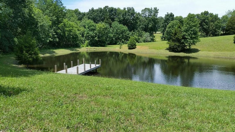 7686 Barnhill Rd, Primm Springs, TN 38476